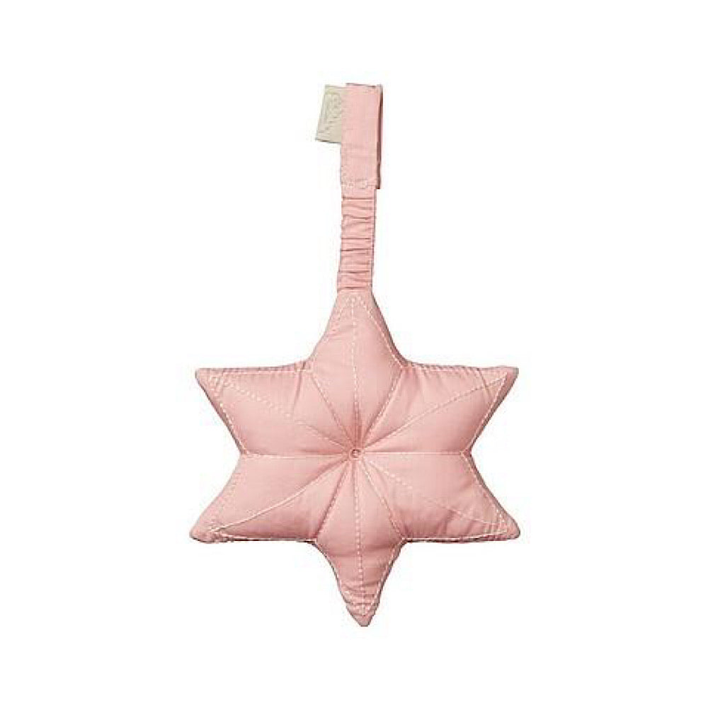 Camcam activiteiten speeltje ster Old Rose